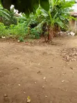 Half Plot Dry Land for Sale in Freedom Estate, Igbogbo - 1
