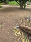 Half Plot Dry Land for Sale in Freedom Estate, Igbogbo - 2
