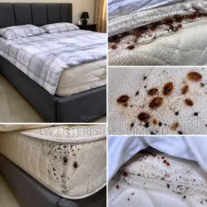 Professional Bed Bug Treatment & Fumigation Services