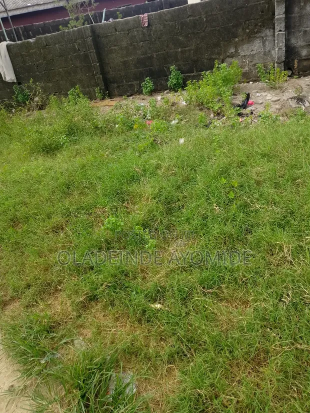 Kasa Busasshiya Don Siyarwa Tare da Takardar Mallaka da Yarjejeniya - 1