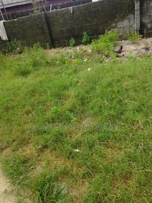 Kasa Busasshiya Don Siyarwa Tare da Takardar Mallaka da Yarjejeniya
