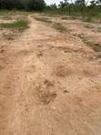 180sqm Estate Residential Plot for Sale in Guzape 2 - 1