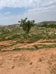 180sqm Estate Residential Plot for Sale in Guzape 2 - 2