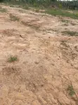 180sqm Estate Residential Plot for Sale in Guzape 2 - 3