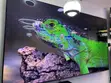 Samsung 98-Inch QLED 4K UHD Smart TV (Samfurin 2023/2024) - 2