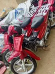 CityCoco City Scooter 2019 Red - 4