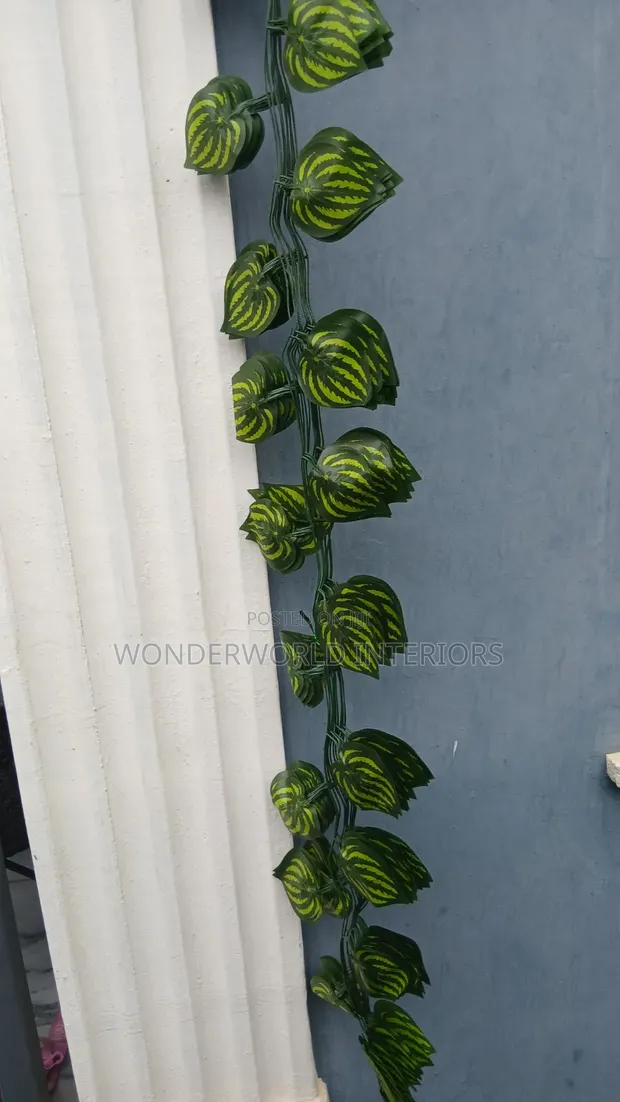 Radish Vine Rope Leaf - Wholesale - 1