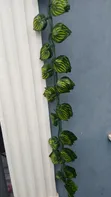 Radish Vine Rope Leaf - Wholesale - 1