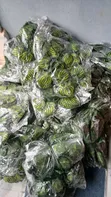 Radish Vine Rope Leaf - Wholesale - 2