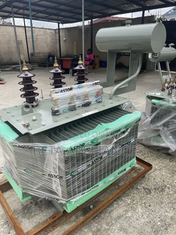 Astor 300 kVA Distribution Transformer - 1