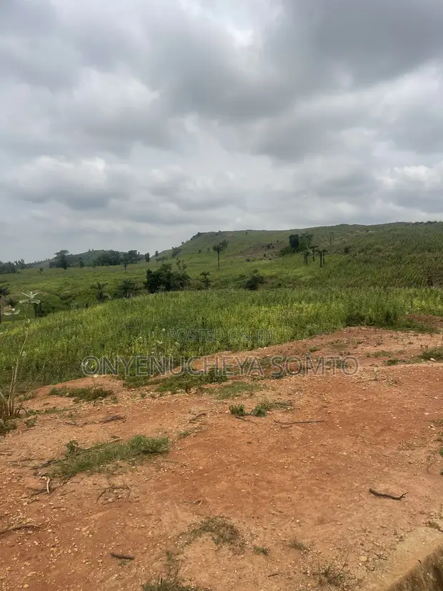 Filin Estate 350SQM don Gidan Bedroom 4 tare da C of O - 1