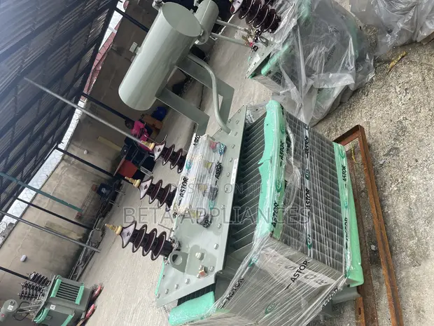 Astor 300 kVA Power Transformer - 1