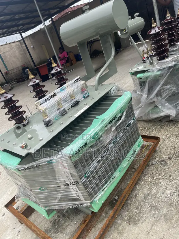 Astor 300 kVA Three Phase BY11 Transformer - 1