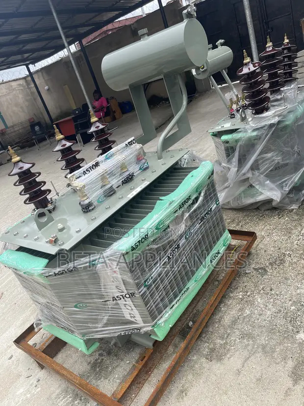 Astor 300 kVA Masana'antar Transformer - 1