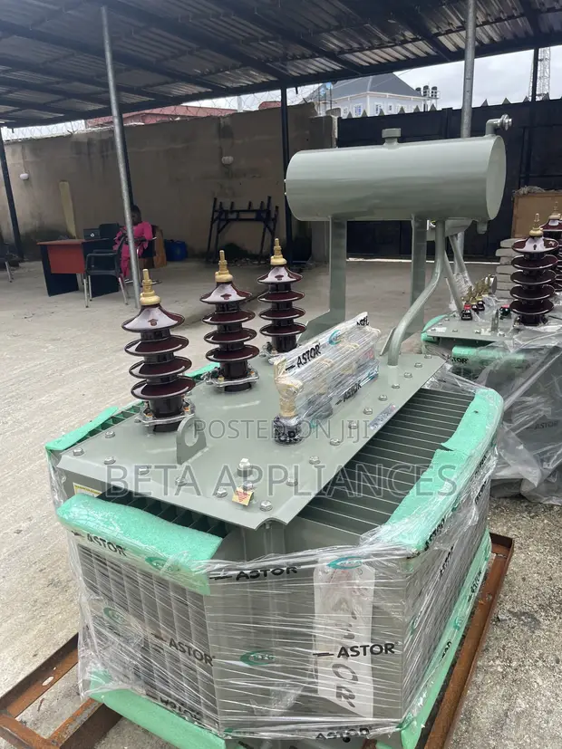 Astor 300 kVA Utility Transformer - 1