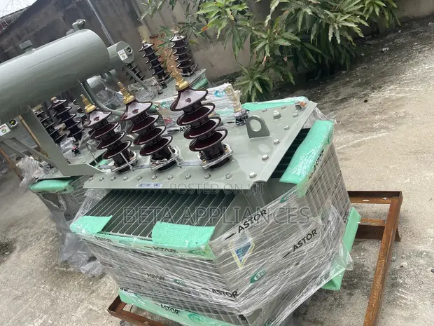 Astor 300 kVA Heavy Duty Transformer - 1