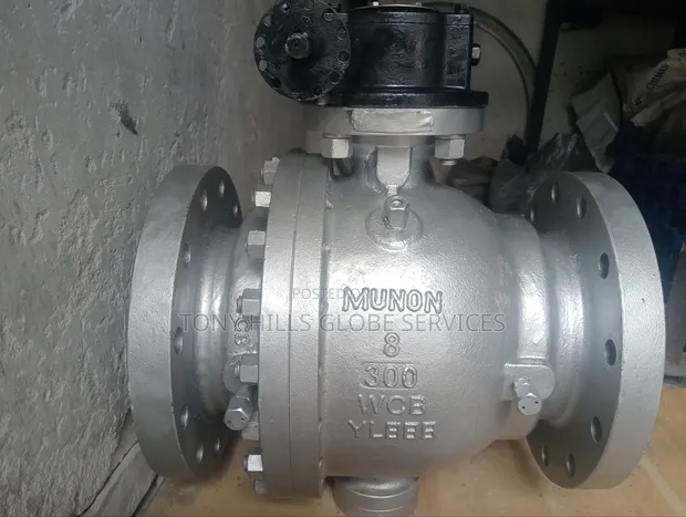 8x300 Ball Valve RF Full Bore - 1