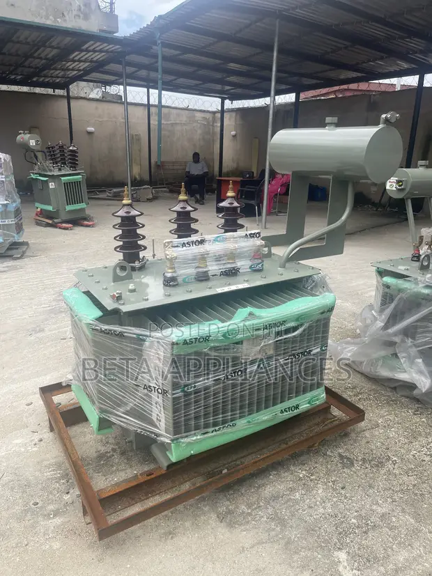 Astor 300 kVA Power Distribution Transformer - 1