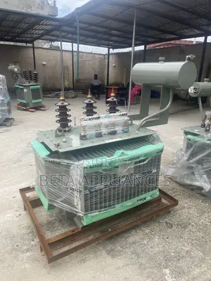 Astor 300 kVA Power Distribution Transformer