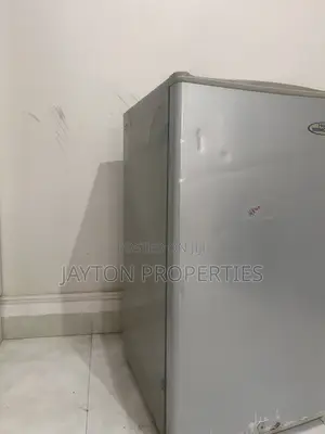 Kibarar Firijin Haier Thermocool Ta Ƙarama - Launin Harsashi