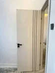 HDF Luxury Room Door with Stainless Steel Inlays - 3