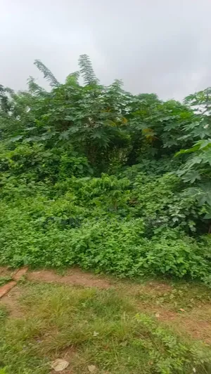 2 Plots na Sayarwa a Lakoto, Ajibode, Ibadan
