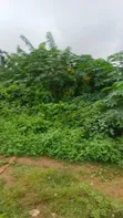 2 Plots na Sayarwa a Lakoto, Ajibode, Ibadan - 1