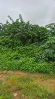 2 Plots na Sayarwa a Lakoto, Ajibode, Ibadan - 2