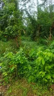2 Plots na Sayarwa a Lakoto, Ajibode, Ibadan - 5
