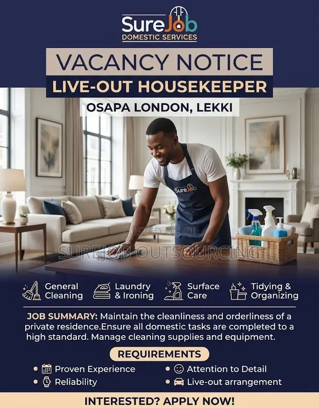 Experienced Live-Out Male Housekeeper Needed - Osapa London, Lekki - 1