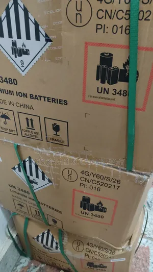 5kWh 48V Ecolion Lithium Ion Baturi