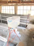 Battery Cage Construction Services - 1