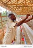Battery Cage Construction Services - 3