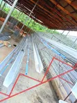 Battery Cage Construction Services - 5