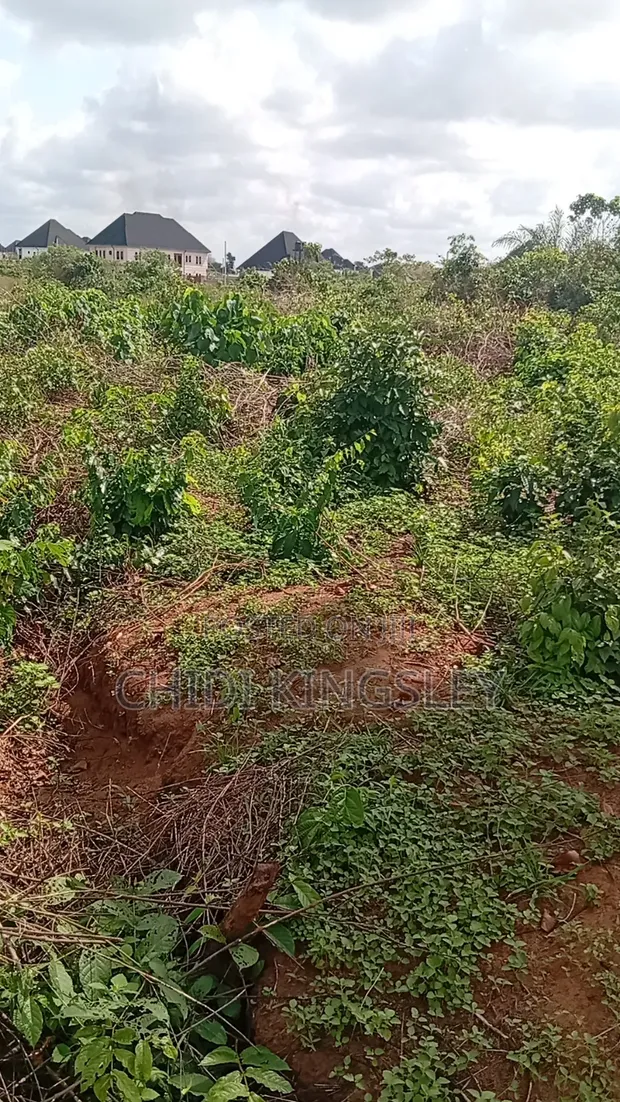 Plot of Land for Sale in Umuguma, Owerri - 1