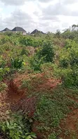 Filin Dawa Don Siyarwa a Umuguma, Owerri - 1