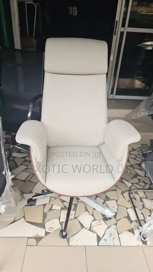 Ergonomic Mesh Office Chair with Chrome Support