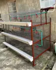 Sabon Qin Kaji na Broiler da Layers (Kaji 96) - 2