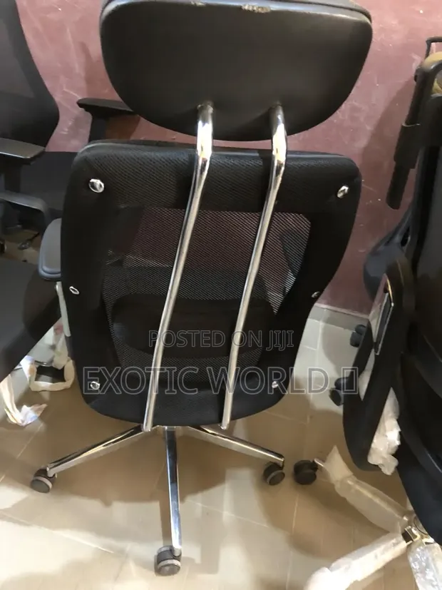 Ergonomic Mesh Office Chair with Chrome Support - 1