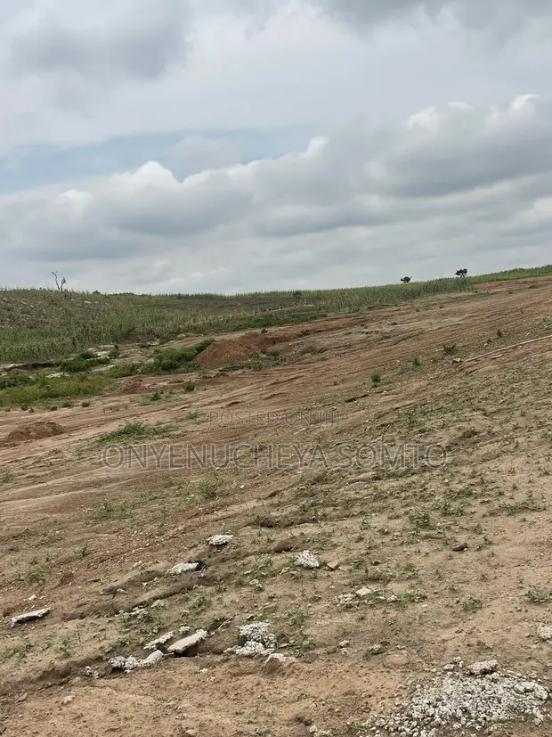 1000SQM Residential Land Plot with C of O in Apo Wasa - 1