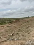 1000SQM Residential Land Plot with C of O in Apo Wasa - 1