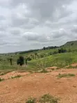 1000SQM Residential Land Plot with C of O in Apo Wasa - 2