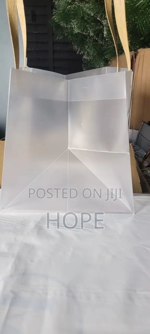 Transparent Gift Bags - Pack of 10 - 1