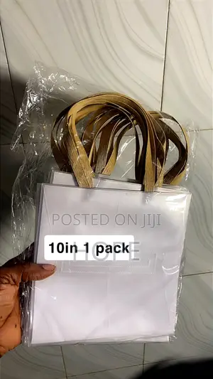 Transparent Gift Bags - Pack of 10