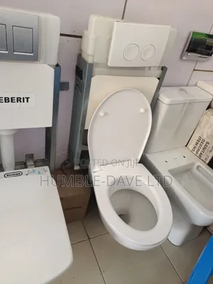 Geberit Concealed Cistern WC