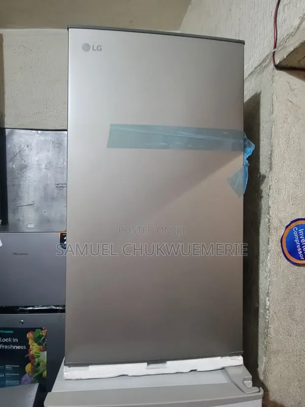 LG Standing Refrigerator - 2 Years Warranty - 1