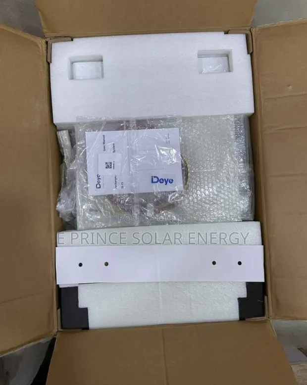 5kWh 24V Deye Lithium Iron Battery - 1