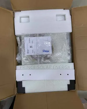 5kWh 24V Deye Lithium Iron Battery