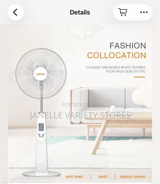 Lontor Rechargeable Standing Fan - 1
