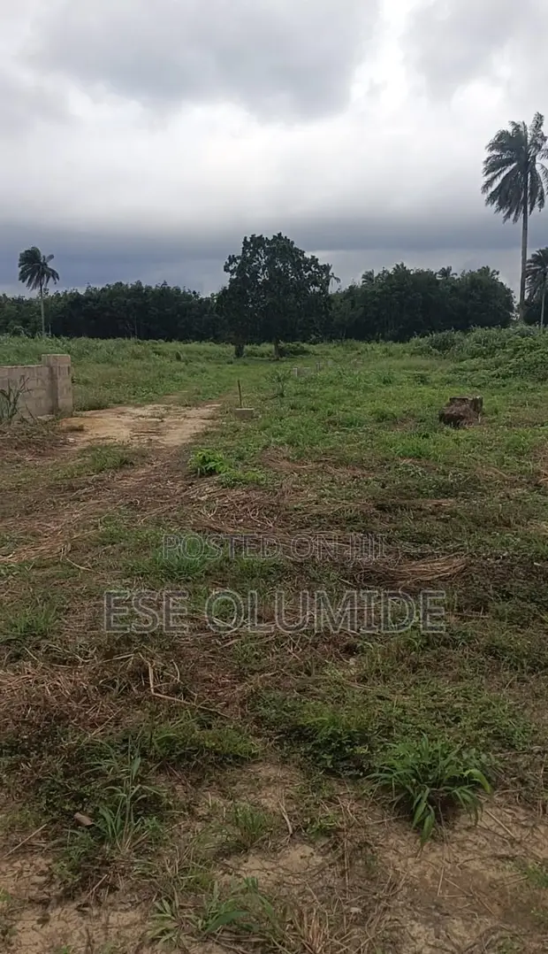 Filin Zama da Kasuwanci a Mereje, Warri - 1